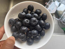 怡颗莓Driscoll's云南蓝莓14mm+ 4盒装 约125g/盒 新鲜水果 实拍图