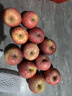 京鲜生山东烟台红富士苹果 5斤装单果75-80mm生鲜水果 源头直发 包邮 实拍图