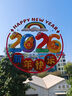 婚恋倾城新年装饰5D窗花玻璃贴春节过年装饰2026马年橱窗门贴静电贴画12张 实拍图