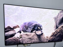 三星高端款 65X8F 65英寸 量子点 AI Mini LED艺术电视 壁纸电视 超薄平嵌 144Hz QA65QNX8FAJXXZ 实拍图
