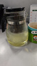 金灶（KAMJOVE）玻璃茶壶泡茶壶懒人茶具飘逸杯按压式冲茶器过滤茶水分离绿茶杯 实拍图