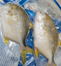 翔泰 海南金鲳鱼净重900g 2条装  年货节鱼类生鲜 火锅食材 海鲜水产  实拍图