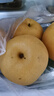 京鲜生山东烟台莱阳秋月梨净重4.5斤单果350g+ 新鲜水果 源头直发包邮 实拍图