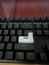 雷柏（Rapoo） V500PRO单光版 有线背光机械键盘 104键全尺寸游戏电竞笔记本电脑办公吃鸡全键无冲键盘 茶轴 实拍图