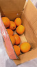 集南鲜 赣南脐橙 江西橙子新鲜现摘水果脐橙时令生鲜水果甜橙 水果礼盒 彩箱10斤特级橙  单果220g+ 净重9斤 推荐 实拍图