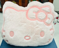 名创优品（MINISO）三丽鸥家族系列Hello Kitty18号大头靠枕粉色款沙发抱枕生日礼物 实拍图