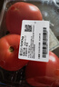 番茄约500g 实拍图