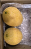 京鲜生 黄金哈密瓜 2粒 单果2.5斤起 净重6-8斤 生鲜水果年货礼盒 实拍图