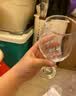 红酒杯套装高脚杯分酒器家用高档葡萄酒杯玻璃醒酒器高脚杯子 红酒杯*2只【320ml】+醒酒器1.5L 实拍图