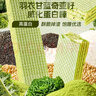 麦酥园无加蔗糖全麦威化饼干休闲零食品蛋白棒羽衣甘蓝控糖健身早餐400g 实拍图