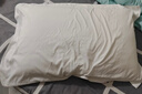 富安娜 枕头芯低枕酒店枕头全棉面料抗菌枕头芯纤维软枕芯一对装74*48cm 实拍图