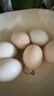 黄天鹅可生食鸡蛋 60枚单枚53g礼盒装京东自营30枚*2盒 年货送礼 实拍图