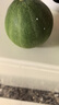 京氿生绿宝甜瓜当季头茬脆甜香瓜时令孕妇水果绿宝石小蜜瓜整箱源头直发 【尝鲜自吃】3斤装(约5-9个) 实拍图