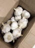 京喜自营精选大蒜水果蒜调料蔬菜火锅烧烤牛肉小龙虾食材 推荐 5-6头 100g 单果3.5-5cm 实拍图