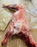 咏华春【官方严选】全羊内蒙古草原散养羔羊肉羊腿整羊后腿肉烤全羊团购 全羊28斤（送礼优选） 实拍图