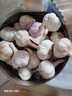 【百万单爆品】紫白皮蒜水果大蒜超市生鲜蔬菜调料即食蒜 【优选】 1斤 单果3.5-5cm 实拍图