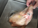 温氏 供港黄油鸡2.4斤 冷冻 农家土鸡母鸡走地鸡 慢养110天以上 实拍图