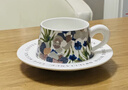 SUCCOHOMEWARE小清新鸢尾花咖啡杯礼盒复古陶瓷马克杯家用喝水杯氛围感下午茶杯 鸢尾花2杯碟勺礼盒+礼袋(京东物流)快至次日达 实拍图