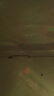 爆款北极光投影灯台灯星空灯卧室浪漫情调房间顶极光氛围暖光灯睡眠礼物男女实用直播卧室投影灯 【16色炫彩升级】极光投影灯/可遥控（无星星月亮） 实拍图