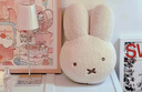 可爱Miffy米菲兔子玩偶卧室靠垫生日礼物床上靠枕沙发毛绒 米菲兔头抱枕 35cm*25cm 含枕芯 实拍图