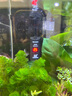 森森（SUNSUN）鱼缸加热棒自动恒温水族箱防爆加热器鱼缸水族用品 三代豪华款100W带保护套(小型鱼缸) 实拍图