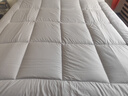 京东京造抗菌云感棉花床垫 新疆棉床褥加厚可折叠学生四季可用软垫 1.8x2m 实拍图