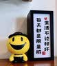 vilosi羊毛衫缩水还原恢复剂300ml*3瓶羊绒洗涤剂软化蓬松放大剂 实拍图
