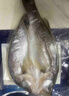 1号会员店（One's Member）零添加保水剂白蕉三去海鲈鱼 1000g（500g*2） 海鱼 海鲜水产 实拍图