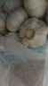 京鲜生河南杞县大蒜带皮新鲜干蒜净重2斤 单果4.5-5cm 源头直发包邮 实拍图