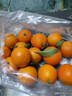 京地达四川爱媛38号果冻橙水果净重5斤中大果11-14个新鲜源头直发包邮 实拍图
