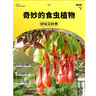 花翁猪笼草盆栽捕蝇草食虫草植物驱蚊虫绿植（6-8个笼子）源头直发 实拍图