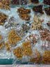 嘉德朗【100只】网纹路真空袋真空食品包装袋抽真空塑封袋封口压缩袋保鲜袋 15cm*20cm  100只装 实拍图