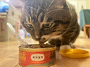 弗列加特98%高含肉量 FPMR生骨肉猫主食罐 成猫罐头 混合装95g*6罐 实拍图