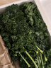 羽衣甘蓝新鲜生鲜蔬菜嫩叶甘兰芥蓝西餐沙拉榨汁减肥减脂 羽衣甘蓝减脂尝鲜装1斤 实拍图