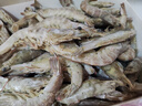 卖鱼郎先生青岛盐冻大虾净重3.6斤 20-25只/斤 白虾基围虾生鲜 虾类 实拍图