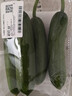 【水果菜】荷兰水果黄瓜约400g 实拍图