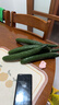 京鲜生山东新鲜长黄瓜3斤装 新鲜蔬菜瓜香四溢 源头直发包邮 实拍图