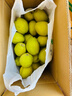 京鲜生 新疆库尔勒香梨 净重10斤 特级 单果120g以上 生鲜水果 实拍图