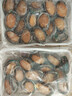 森农乐鲍鱼鲜活冷冻特大生鲜大号贝类海鲜水产超大即食佛跳墙食材鲍鱼汁 14-16只/斤【中大鲍2斤 实发28-30只】 实拍图