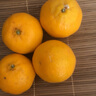 正宗云南宾川沃柑应季新鲜水果酸甜多汁整箱包邮 1斤装 实拍图