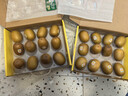 佳沛（zespri）意大利 阳光金奇异果12粒年货礼盒特大果单果约122-146g 猕猴桃 实拍图