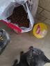 七彩缦爱心猫粮10斤5kg装鱼肉味猫咪牛肉味营养主粮通用幼猫成猫流浪猫 牛肉味10斤 实拍图
