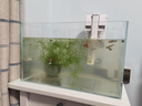 YEE鱼缸金晶超白金鱼裸缸8060家用客厅桌面小草缸龟缸玻璃生态溪流缸 【送上楼】40*23*25*5mm裸缸 实拍图
