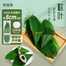 鲜窝窝  新鲜粽子叶 大号宽粽叶100片 农家野生箬叶包粽子材料真空包装 实拍图
