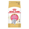 皇家猫粮 英短幼猫粮 BSK38 通用粮 4-12月 2KG 实拍图