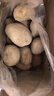 甘肃定西土豆马铃薯2025年新挖粉糯沙面高山洋芋黄心黄皮定西特产 净重9斤大果 每颗6-8两左右 实拍图