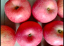 京鲜生 陕西洛川红富士苹果净重5斤80-85mm 单果200g+ 源头直发 实拍图