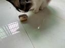 网易严选猫零食罐头猫用浓汤随享罐猫罐头 鱼肉磷虾40g*6罐 实拍图