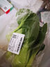 上海青约500g(油菜) 实拍图