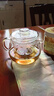 诗米乐 耐热玻璃茶杯加厚玻璃茶壶带嘴泡茶杯茶水分离杯喝茶杯过滤杯子 共茗杯 480ml 实拍图